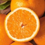 橘子，